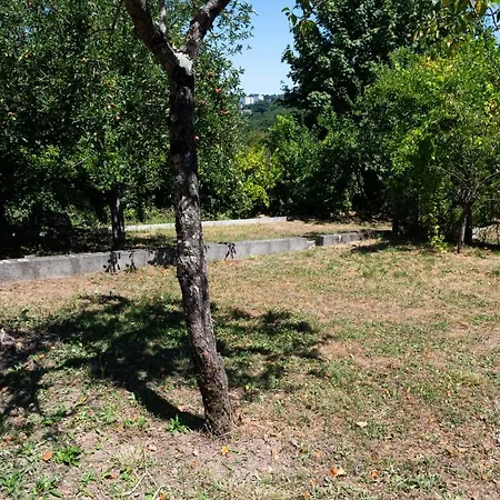 Large House Close To Center Holiday home Limoges